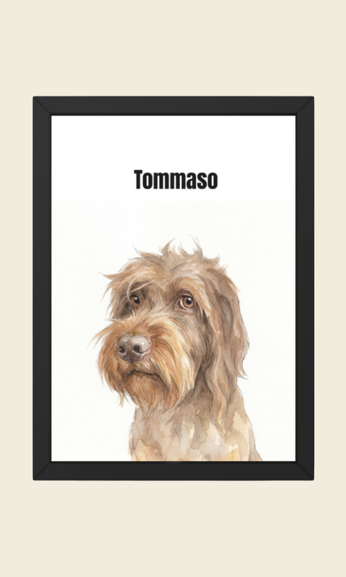 Retratos de mascota estilo aquarela — Empieza a crear tu retrato.