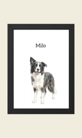 Retratos de mascota estilo aquarela — Empieza a crear tu retrato.
