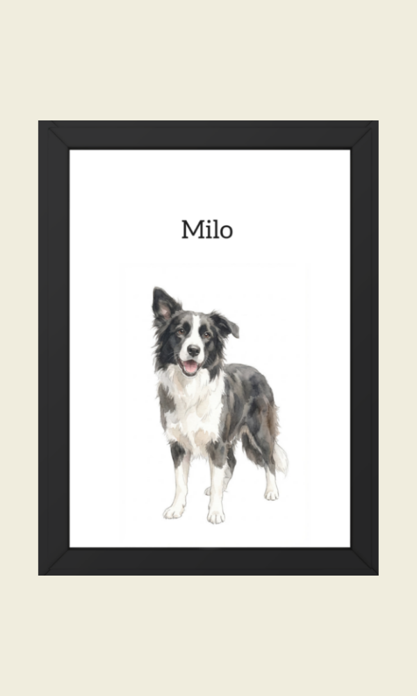 Retratos de mascota estilo aquarela — Empieza a crear tu retrato.