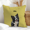 Cojín personalizado con la ilustración de tu mascota  en estilo contemporáneo                -Empieza a personalizar el cojín con el retrato de tu mascota.